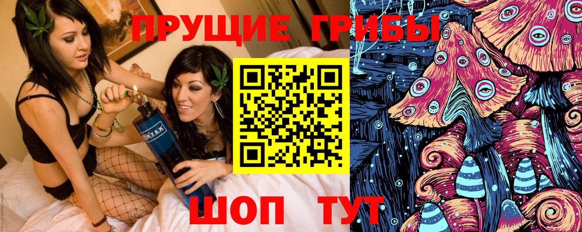 Елабуга  Псилоцибиновые грибы Magic Shrooms  Вход с VPN 